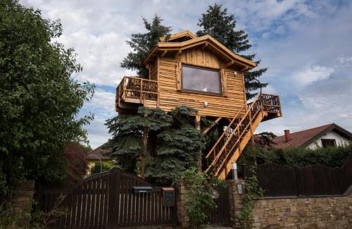 Senftenberg Maison | Baumhaus