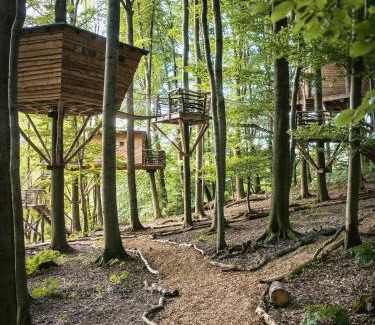 Witzenhausen Hôtel | Baumhaushotel Robins Nest
