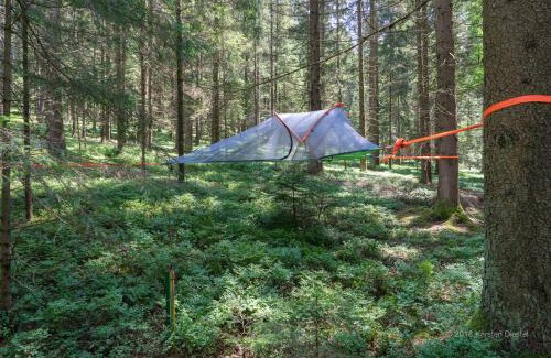 Regen Autre | Baumzelt am Waldesrand