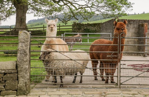 Skipton Maison | Bay Horse Farm
