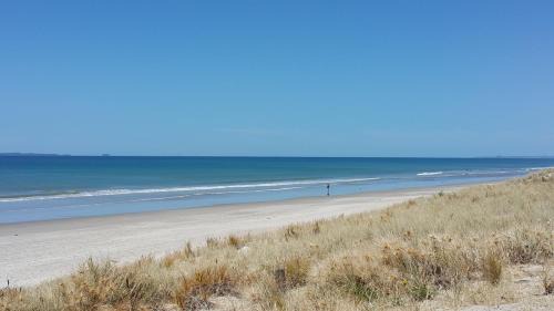 Mount Maunganui Hôtel | Bay Palm Motel
