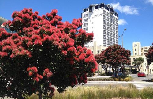 Oriental Bay Hôtel | Bay Plaza Hotel