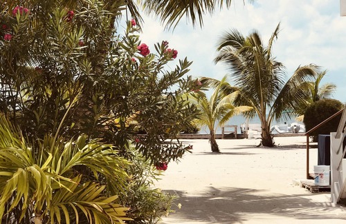 Caye Caulker Maison | Bayblue Suite Studio Apartments