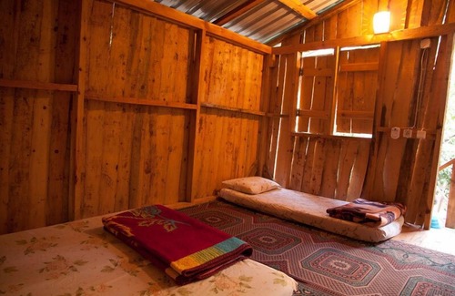 Olympos Hôtel | Bayrams Tree Houses