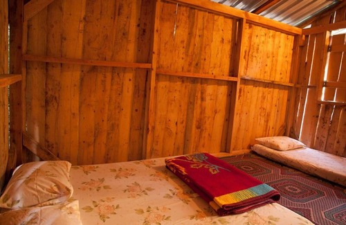 Olympos Hôtel | Bayrams Tree Houses