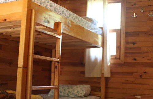 Olympos Hôtel | Bayrams Tree Houses