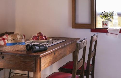Valega Maison | Be and See in Nature