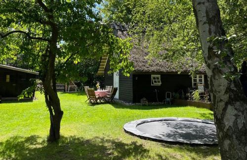 Nykobing Sjaelland Maison | Be Surrounded By Trees In A Thatched Cottage