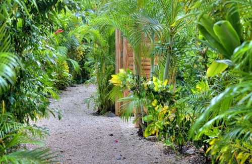Playa Hermosa Cobano Maison | Casitas de plage avec luxe tropical, style et intimité.