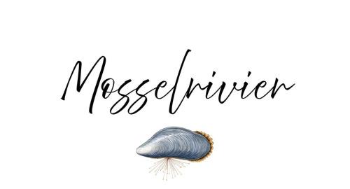 Langebaan Maison | BEACH HOUSE MOSSELRIVIER