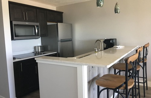 Traverse City Copropriété | Condo en bord de mer entièrement rénové sur la baie de Grand Traverse