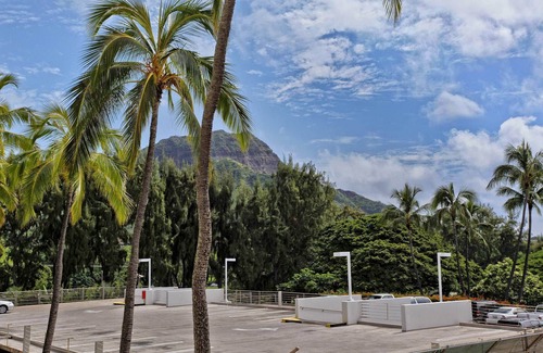 Diamond Head - Kapahulu - St. Louis Copropriété | Vues de Diamond Head sur la plage, extrémité tranquille de Waikiki avec natation / surf!
