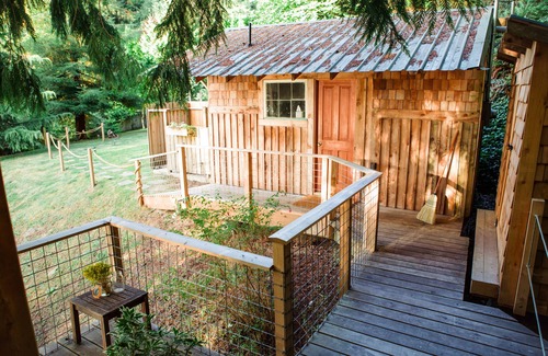 South Colby Cabine | Cabane dans les arbres au bord de la plage au cœur de Puget Sound