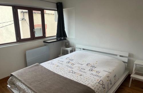Saint-Gaudens Appartement | Beau Grand T2 Duplex avec du Cachet Centre Ville