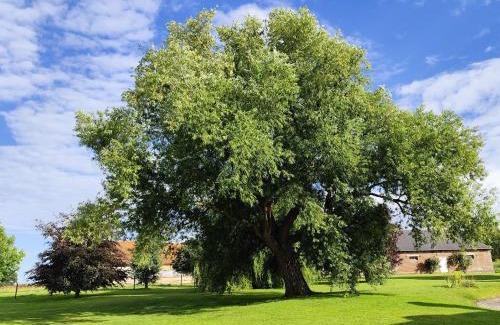 Mesnieres-en-Bray Maison | Beau soleil