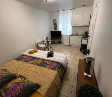 Fleurance Appartement | Beau studio
