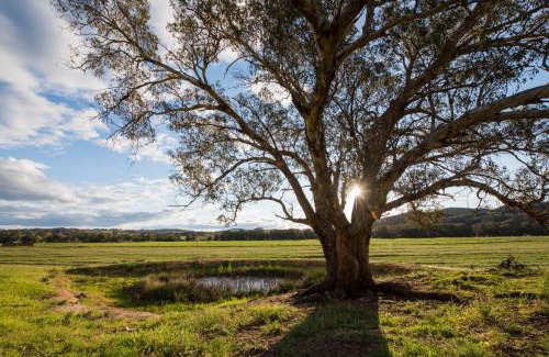 Galambine Maison | Beaudesert Cottage - Mudgee