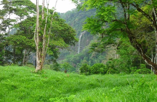 San Isidro de El General Cabine | Beautiful Log Cabin in Tinamaste with stunning views of waterfall and forest