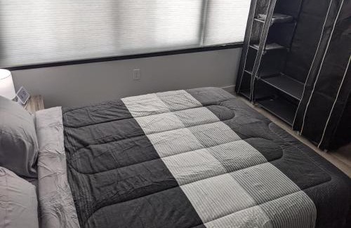 Downtown Appartement | Beautiful 2 Bedroom Apt in downtown silverspring