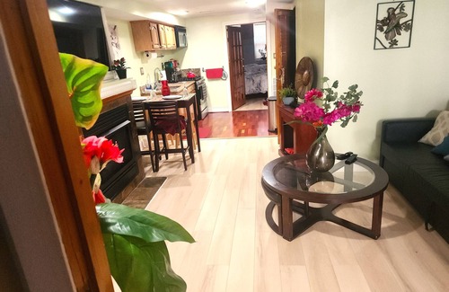 Dupont Circle Appartement | Beautiful 2-BR Apt Sleeps 5 Fabulous Location Historic Street Family-friendly