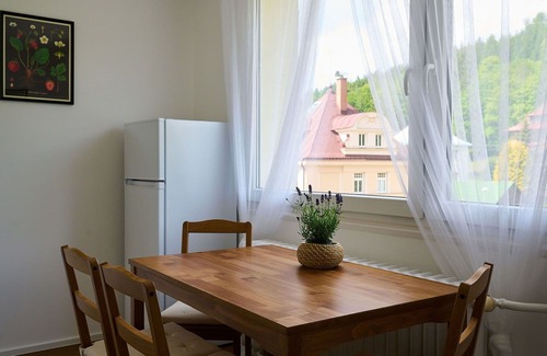 Josefov Dul Appartement | Beautiful apartment for 6 people with WIFI, TV, balcony and parking