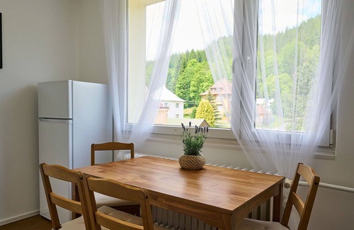 Josefov Dul Appartement | Beautiful apartment for 6 people with WIFI, TV, balcony and parking