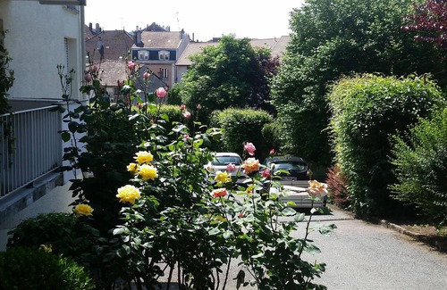 Luxeuil-les-Bains Appartement | Bel appartement F2 au calme, au coeur de la cité thermale.