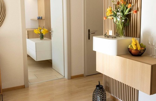 Nussbaumen Appartement | Beautiful apartment for 2 guests with WIFI, TV, balcony and pets allowed