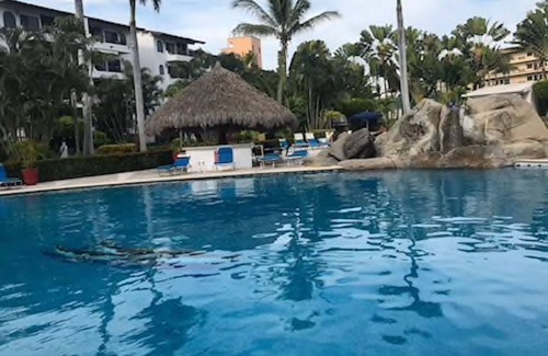 Marina Vallarta Maison | Bel appartement à Marina Vallarta