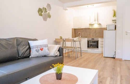 Jachymov Appartement | Agréable appartement pour 5 personnes avec WIFI, TV, terrasse, animaux admis et parking
