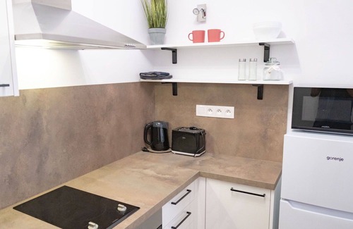 Jachymov Appartement | Agréable appartement pour 5 personnes avec WIFI, TV, terrasse, animaux admis et parking