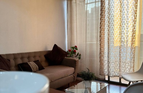 Lastarria Appartement | Beautiful apartment in the center of santiago