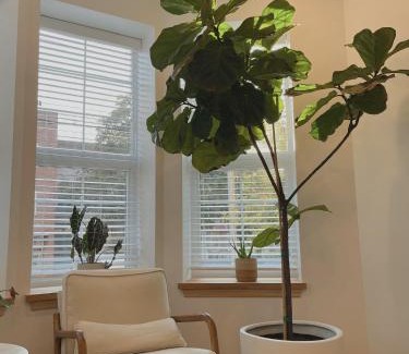 Bushwick Appartement | Beautiful Apartment shared with the Host in the Heart of Bushwick