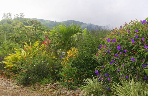 San Ramon Appartement | Belle Bella Vivace avec Rolling Mountain et la baie de Nicoya