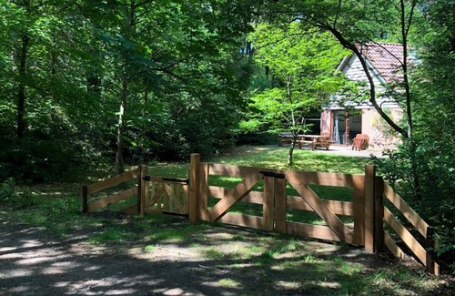 Oude Willem Villa | Belle Boshuis juste à l'extérieur de Diever au milieu du parc national Drents Friese Wold