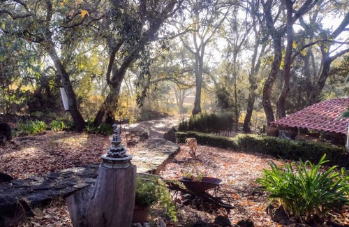 Tetla de la Solidaridad Cabine | Beautiful cabin in the heart of the bush for 2 persons