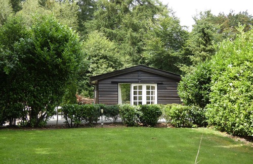 Marum Chalet De Ski | Beautiful chalet for rent against forest edge, border Friesland/Groningen/Drenthe.