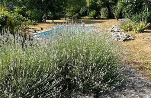 Marsais Maison | Beautiful Charentaise in a haven of greenery!