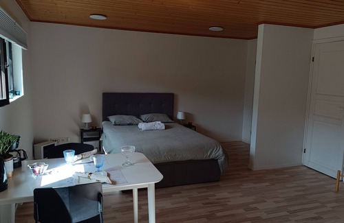 Jarvenpaa Maison | Beautiful Clean & Cosy studio near the center of Helsinki/ Pet Friendly