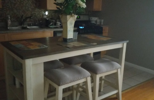 South Shore Copropriété | Beautiful condo with AC in vibrant Chicagon10 mins to beach. 10 mins to downtown