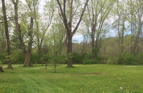 Mill Hall Cottage | Belle maison de côté de ruisseau le long du ruisseau Bald Eagle, Mill Hall, PA