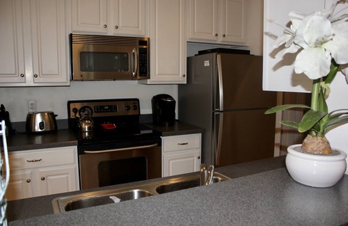Rehoboth Beach Copropriété | Magnifique condo au premier étage pour chiens entre Lewes et Rehoboth Beach