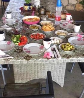 Deir Hanna Appartement | Beautiful Galilea