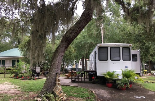 Salt Springs Maison | Belle escapade dans la forêt nationale d'Ocala en Floride @ Salt Springs Resort!