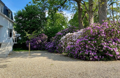 St. Genesius-Rode Villa | Belle maison (Bruxelles) à côté de la forêt