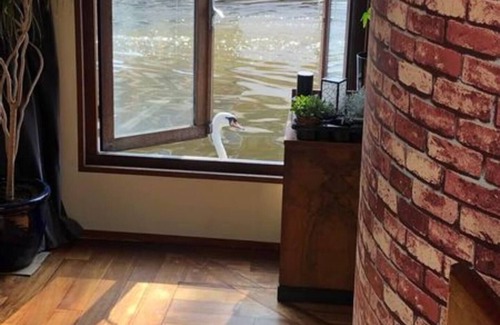 Amsterdam City Centre Location De Bateaux | Beautiful Houseboat on Canals of Amsterdam City Center