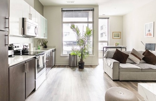 Silver Spring Appartement | Beautiful Loft Style Apartment in the heart of Down Town Silver Spring.
