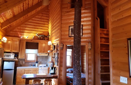 Steinauer Cabine | Belles cabanes en rondins ~ Le Drake