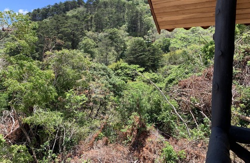 Roble Cottage | Magnifique Mouintain Cottage à Guatuso, Desamparados.