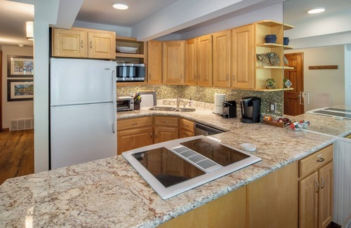 Aspen Copropriété | Beautiful mountain view condo steps to gondola/grocery store/shops/restaurants